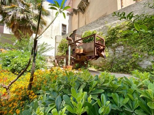 Outdoor Pictures 21
