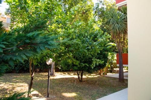 Outdoor Pictures 24