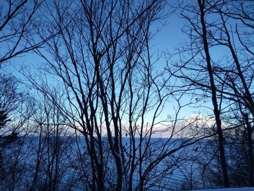 Outdoor Pictures 24