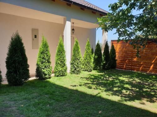 Outdoor Pictures 22