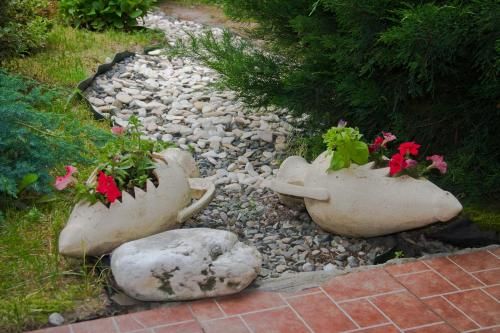 Outdoor Pictures 21