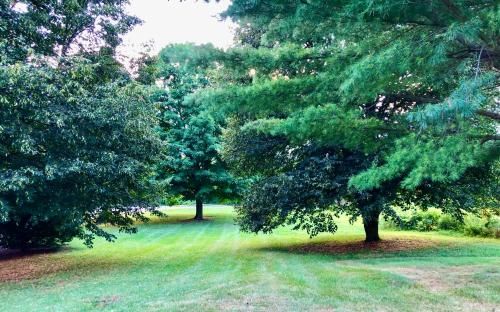 Outdoor Pictures 20