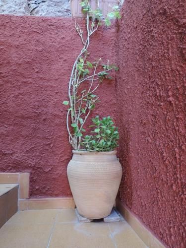 Outdoor Pictures 7