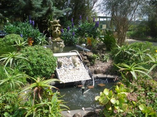 Outdoor Pictures 24