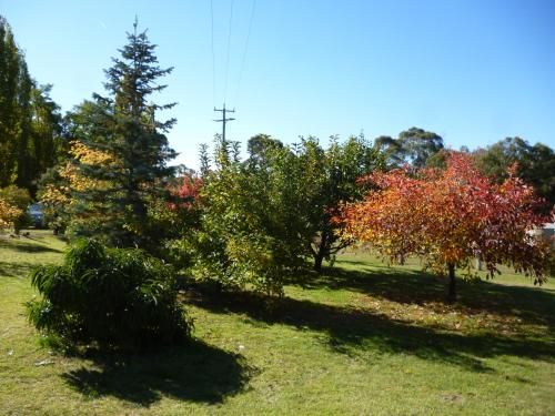 Outdoor Pictures 7