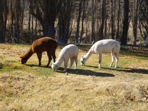 Outdoor Pictures 14