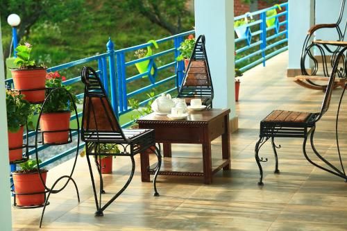 Outdoor Pictures 24
