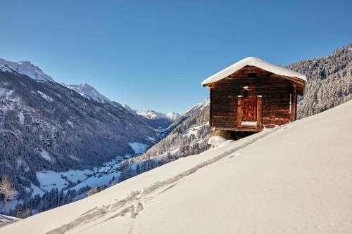 Outdoor Pictures 21