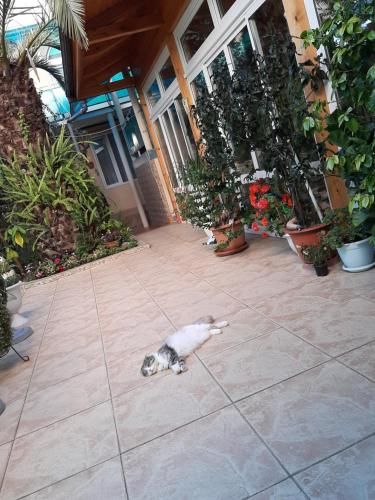 Outdoor Pictures 22
