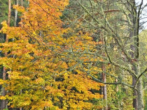 Outdoor Pictures 21