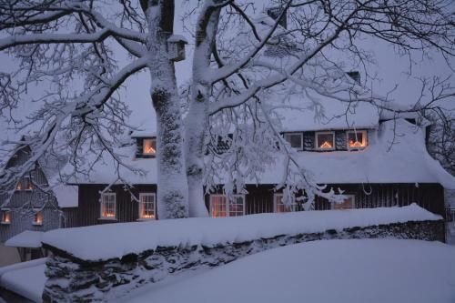 Verlegerhaus Seiffen
