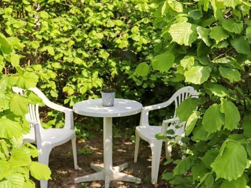 Outdoor Pictures 5