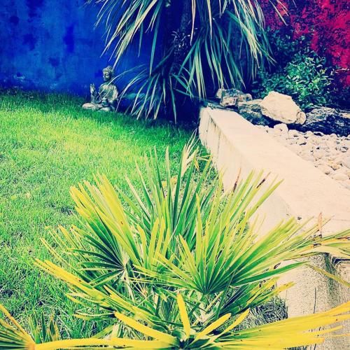 Outdoor Pictures 2