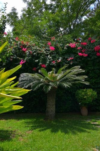 Outdoor Pictures 23