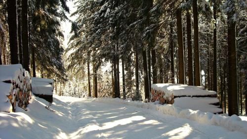 Outdoor Pictures 7
