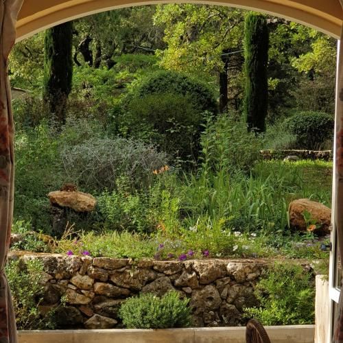 Outdoor Pictures 10