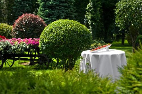Outdoor Pictures 23