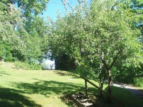 Outdoor Pictures 16
