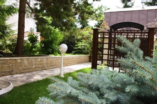 Outdoor Pictures 23