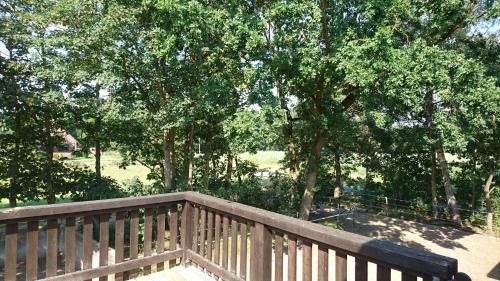 Outdoor Pictures 14