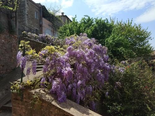 Outdoor Pictures 7
