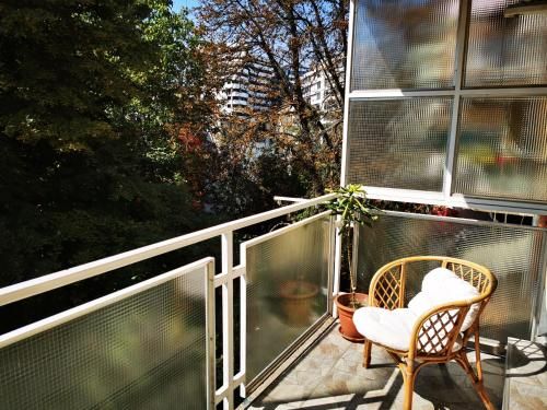Outdoor Pictures 10