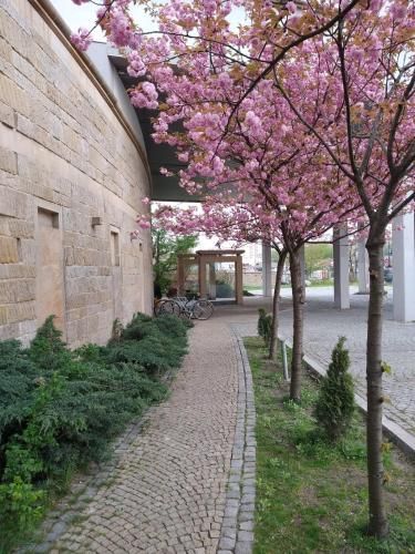 Outdoor Pictures 22