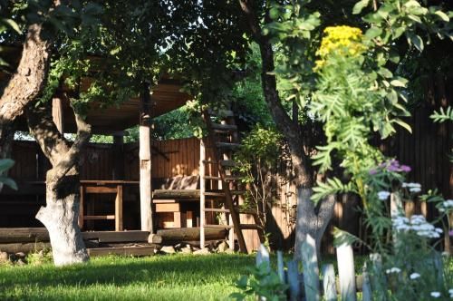 Outdoor Pictures 24