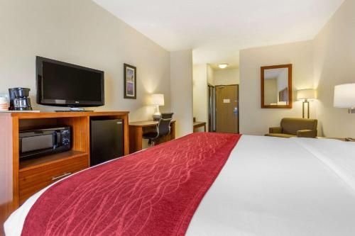 Comfort Inn & Suites Socorro