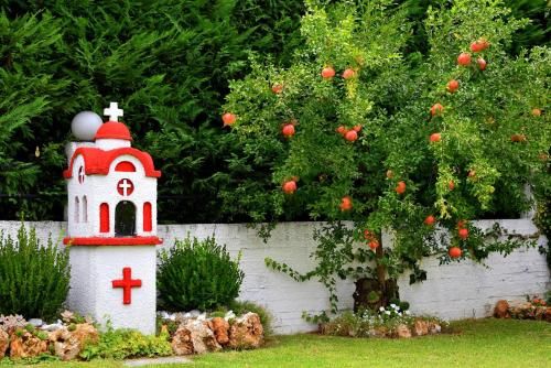Outdoor Pictures 9