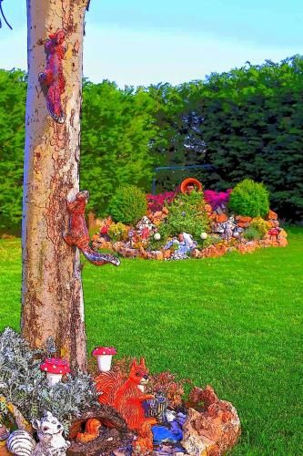 Outdoor Pictures 13