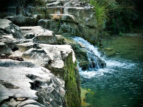 Outdoor Pictures 24