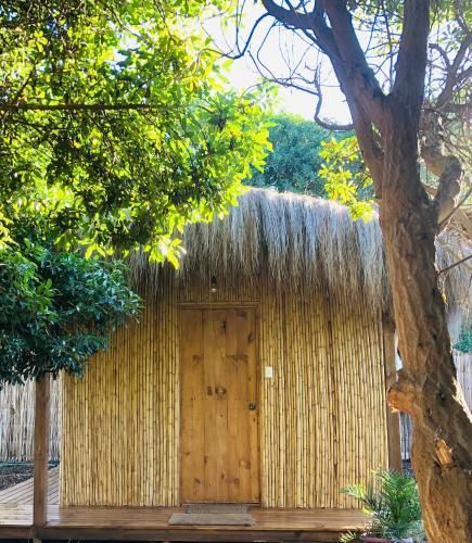El Arbol Eco Lodge
