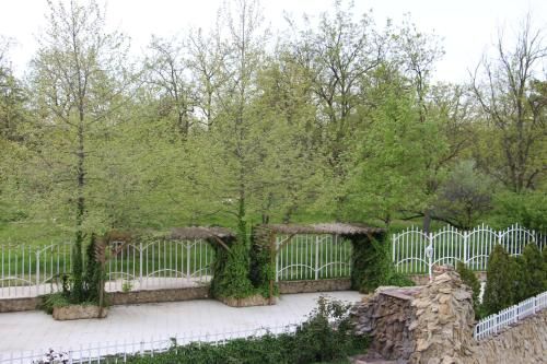 Outdoor Pictures 19