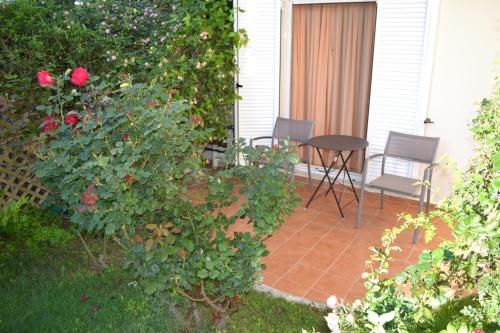 Outdoor Pictures 23