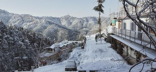 Outdoor Pictures 24