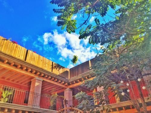 Outdoor Pictures 23