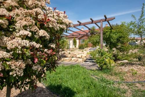 Outdoor Pictures 21