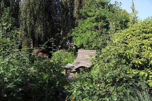 Outdoor Pictures 3