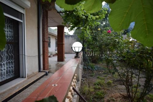 Outdoor Pictures 11