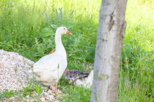 Outdoor Pictures 6