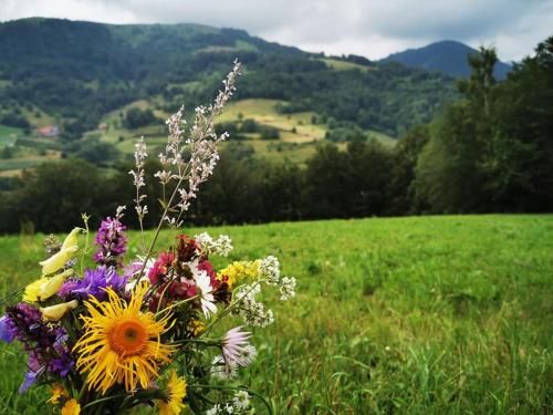Outdoor Pictures 21