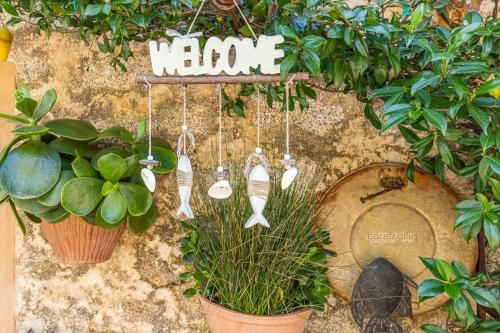Outdoor Pictures 23