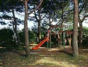 Outdoor Pictures 17