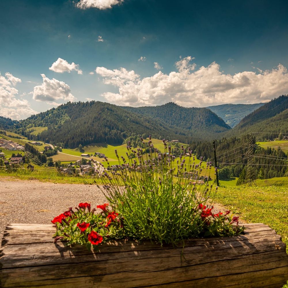 Outdoor Pictures 20