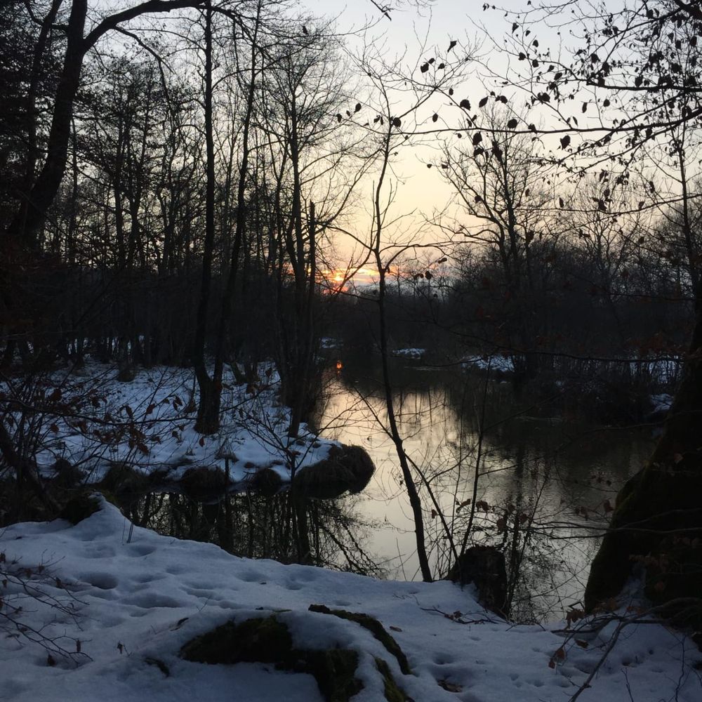 Outdoor Pictures 7