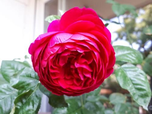 Outdoor Pictures 15