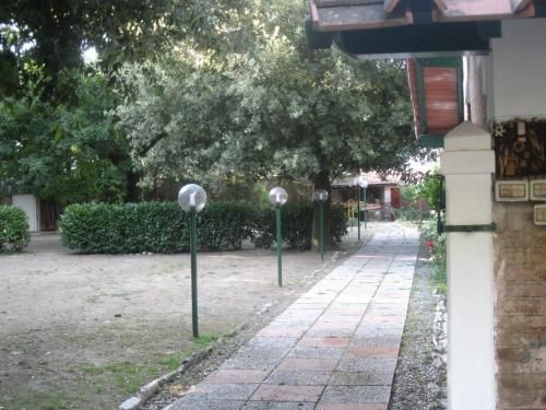Outdoor Pictures 7