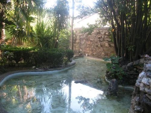 Outdoor Pictures 10