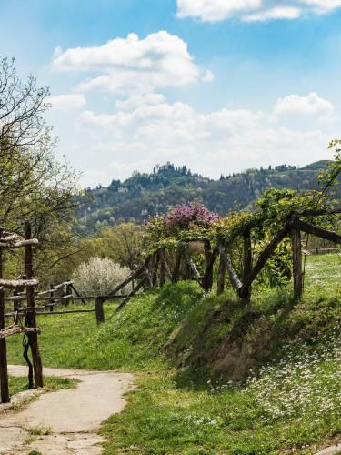 Outdoor Pictures 21